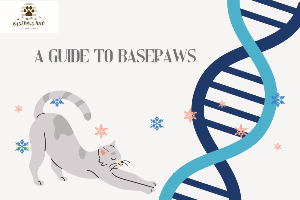 What is Basepaws: Decoding Your Pet's Genetic Blueprint
