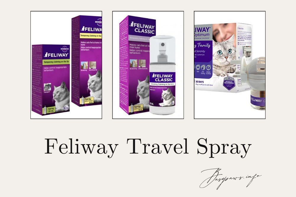 Feliway Travel Spray: Elevating Cat Comfort with Calming Solutions