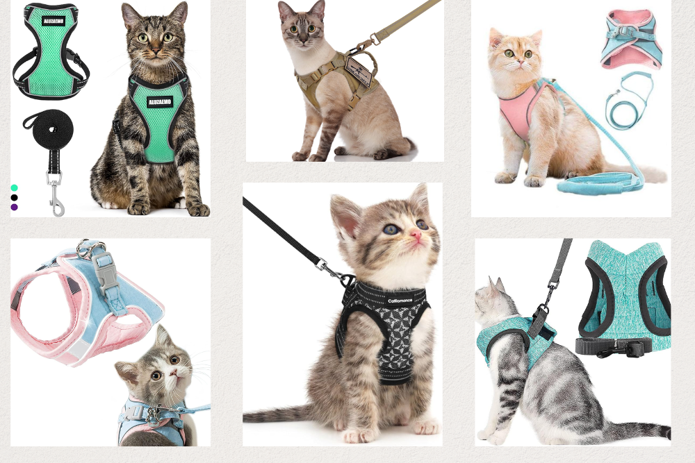 6 Best Escape-Proof Cat Harnesses in 2024: Ensuring Safety and Comfort for Your Feline Friend